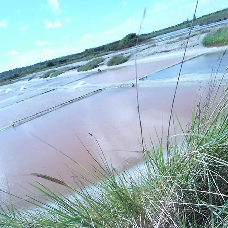 Avec Terrasse Privative Et Velos, Proche Thalassotherapie Et Balneotherapie - Fr-1-426-332 Ferienhaus