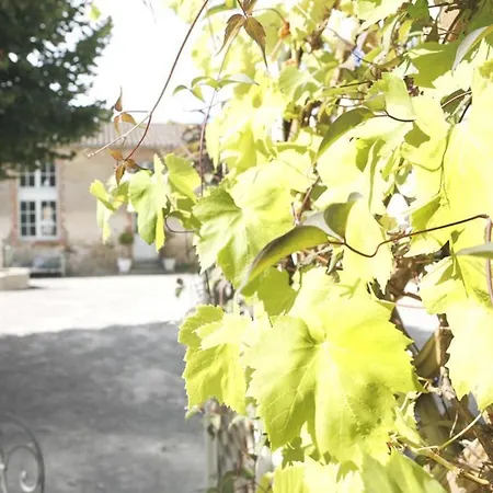 Avec Terrasse Privative Et Velos, Proche Thalassotherapie Et Balneotherapie - Fr-1-426-332