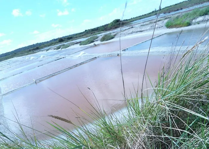 Avec Terrasse Privative Et Vélos, Proche Thalassothérapie Et Balnéothérapie - Fr-1-426-332 Hébergement de vacances
