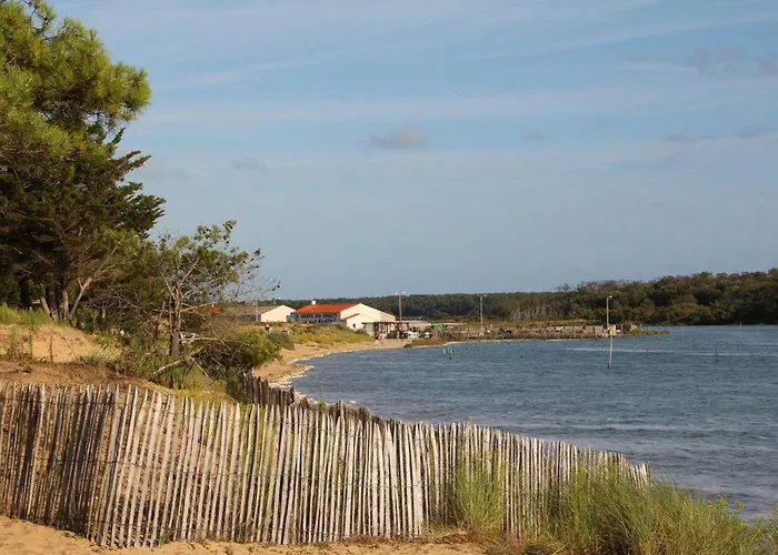 Avec Terrasse Privative Et Vélos, Proche Thalassothérapie Et Balnéothérapie - Fr-1-426-332 Hébergement de vacances Saint-Hilaire-de-Talmont