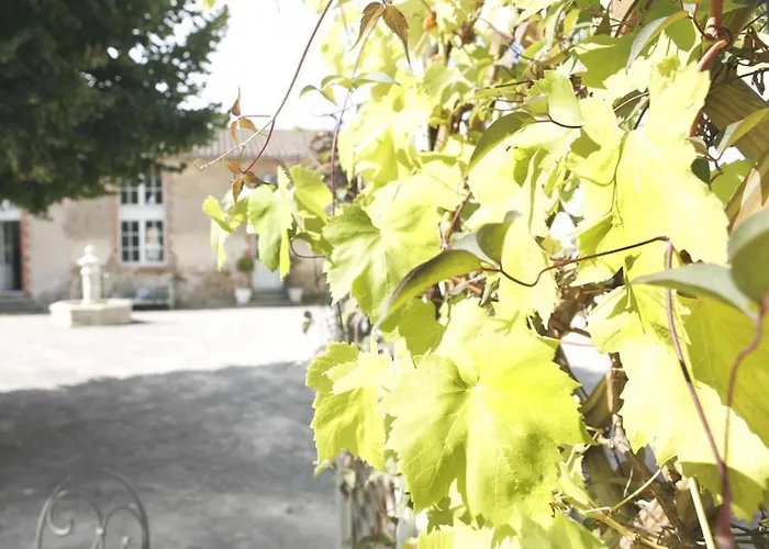 Avec Terrasse Privative Et Vélos, Proche Thalassothérapie Et Balnéothérapie - Fr-1-426-332